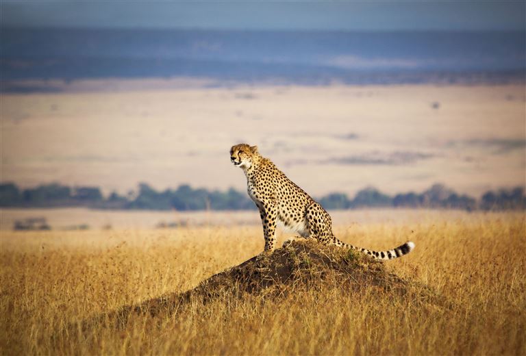 Auf dem Weg zum Indischen Ozean ©WLDavies/istock